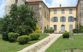 Chateau Des Grezes